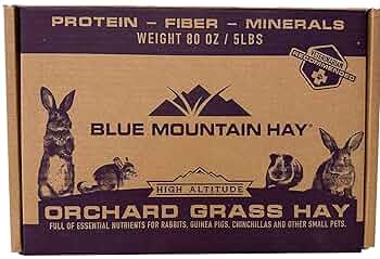 Amazon.com : Blue Mountain Hay | Fresh Orchard Grass Hay (5